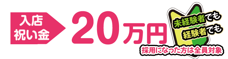 20万円と初心者マーク