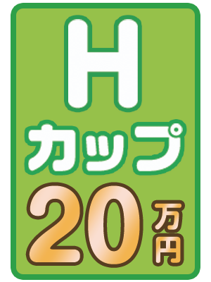Hカップ 20万円